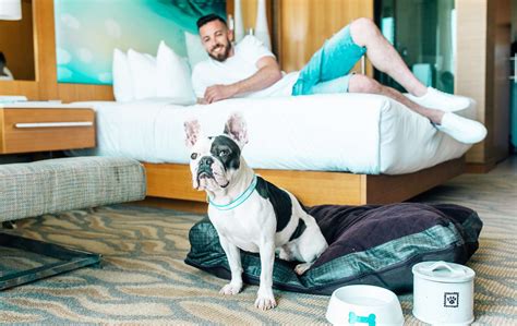 TOP 10 BEST Dog Friendly Hotel in Fremont, CA .